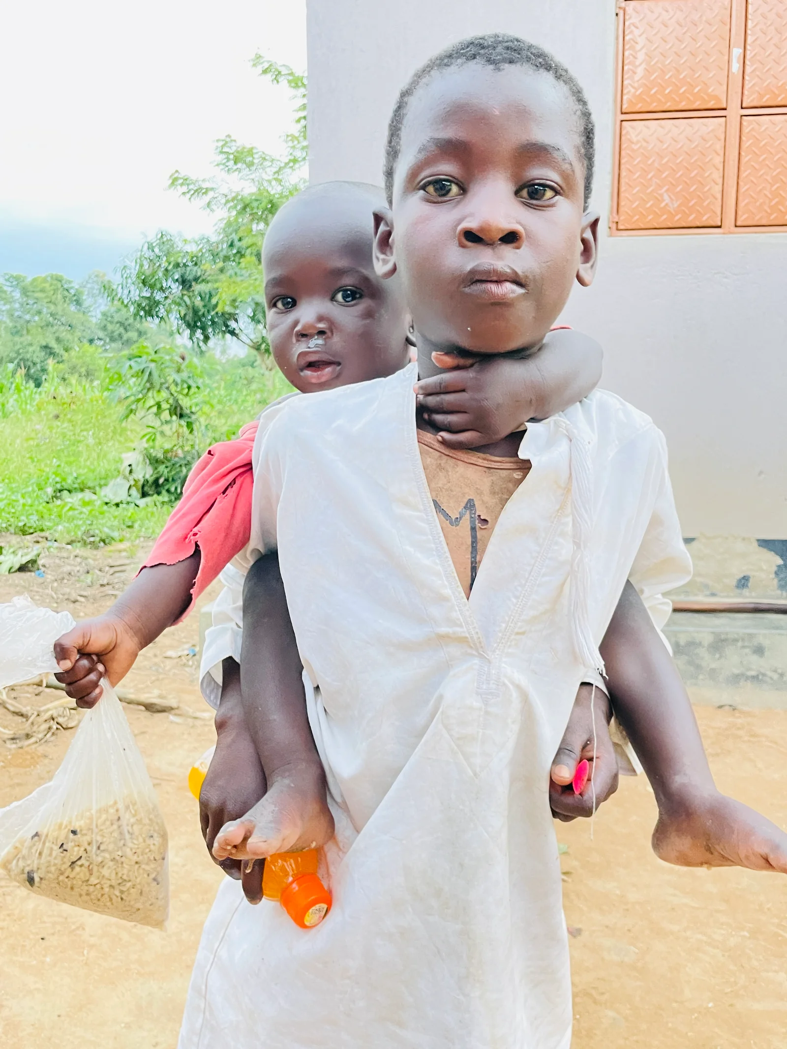 Solidarity Food Packages: How One Donation Can Feed a Family for Weeks
